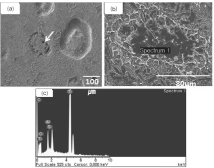 Fig. 3. EDS analysis of around the porosity with pit shape shown in Fig. 2.