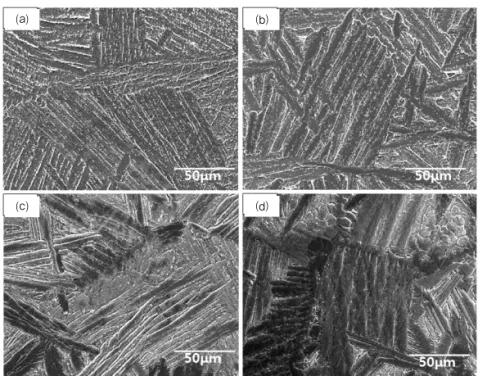 Fig. 6. SEM images showing microstructure of titanium casting specimens at different mold temperatures.