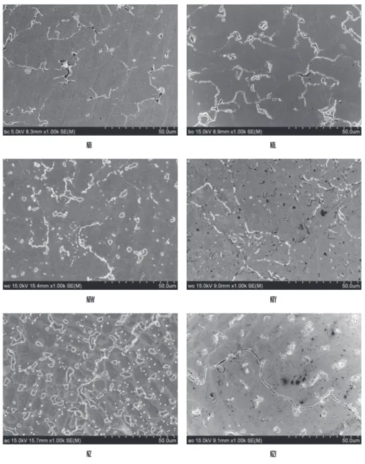 Fig. 2. SEM photomicrograph of control and experimental alloys; ⒜ as-casting and ⒝ as-opaque of Bellabond plus, ⒞ as-casting and ⒟ as-opaque of Wirobond C, ⒠ as-casting and ⒡ as-opaque of Alphadent.