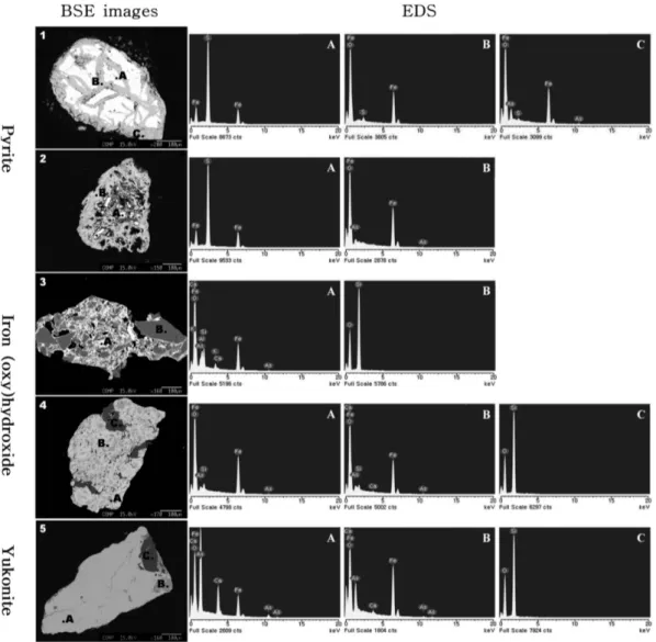 Fig. 3. Back-scattered electron(BSE) images(left column) and the energy dispersive spectroscopy(EDS) spectra of iron (oxy)hydroxide, pyrite, and yukonite.