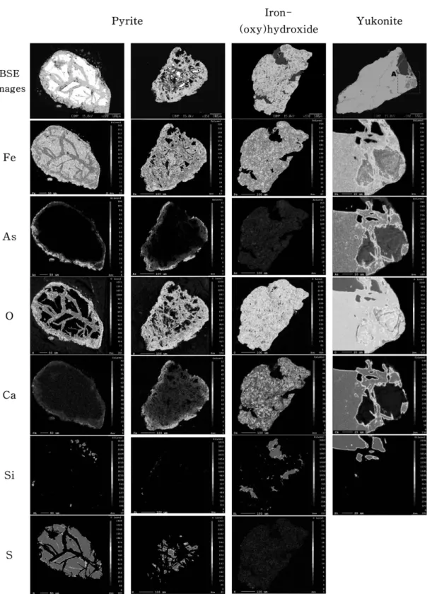 Fig. 4. Back-scattered electron(BSE) images(uppermost row) and the electron probe micro-analysis (EPMA) X-ray maps showing the distributions of Fe, As, O, Ca, Si Ca, and S within iron (oxy)hydroxide, pyrite, and yukonite.