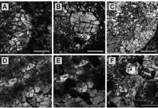 Fig. 5. Microscopic views of the Cairn Formation: (A) Two facies boundary of No. 5-3, (B) three-step cementation of No