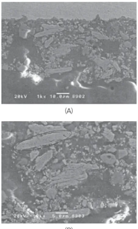 Fig. 9. Microstructures of intermediate layer for 2nd fired