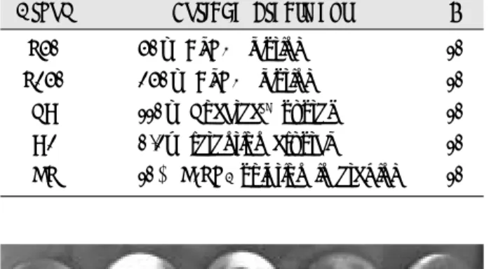Fig. 1. Metal specimens with applied treatments