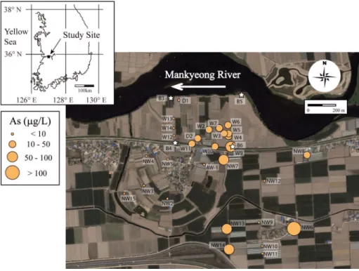 Fig. 1. Study area and distribution of As concentration in groundwater. Star symbols represent the points where geologic loggings were performed by Kim et al