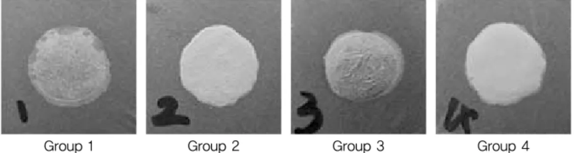 Fig. 1. Specimens after gold bonding agent coating