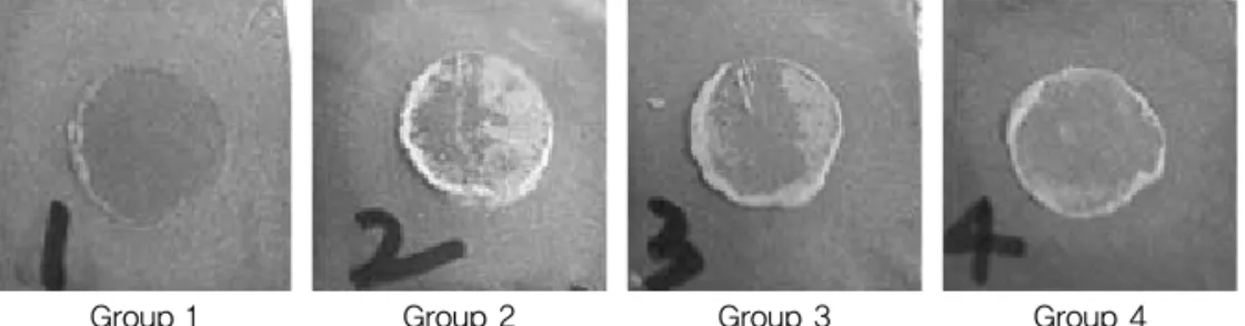 Fig. 4. Specimens surface after Biaxial Flexure Test
