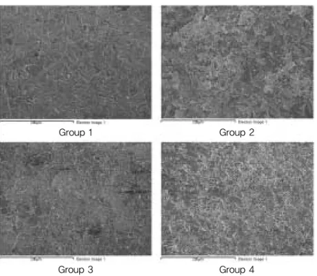 Fig. 7. EDS analysis patterns of all groups after porcelain debonding(× 300)Fig. 6. SEM photographs specimens after porcelain debonding(× 300)