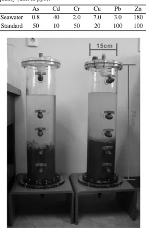 Fig. 3. Photograph of column test systems.
