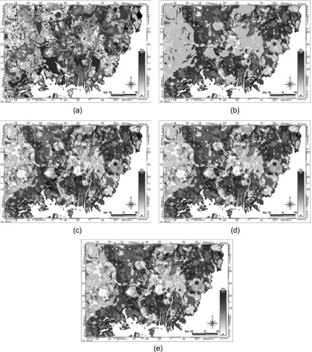 Fig. 4.  Fuzzy integraion results using (a) maximum operator, (b) minimum operator, (c) algebraic sum operator, (d) algebraic product operator, and (e) gamma operator ( γ =0.1).