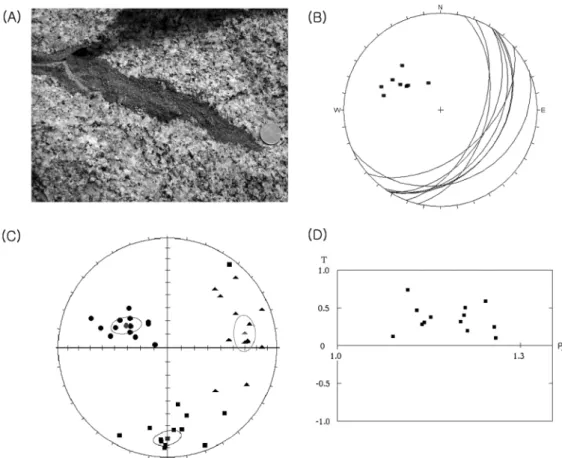Fig. 8.  Correlation of magnetic and geologic fabrics in the Andong granitic pluton.