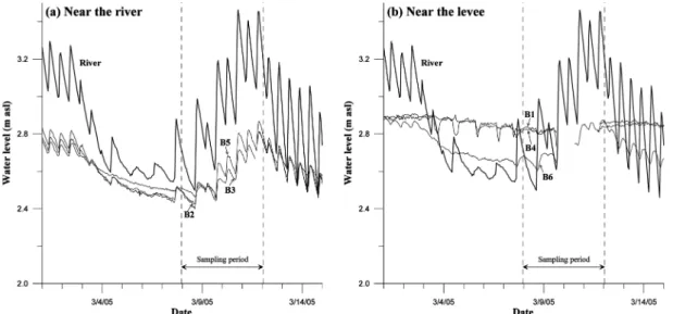 Fig. 3.  Variation of groundwater levels for the wells (a) near the river, and (b) near the levee compared to the river water level