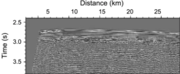 Fig. 10.  A selected segment for the prestack depth migration.