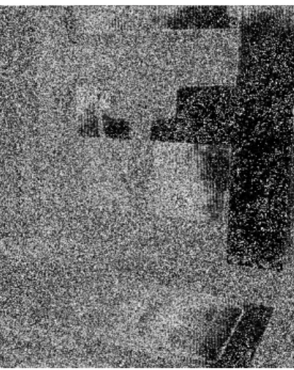 Fig 5.  SEM micrographs for fracture surface of porcelain-metal systems