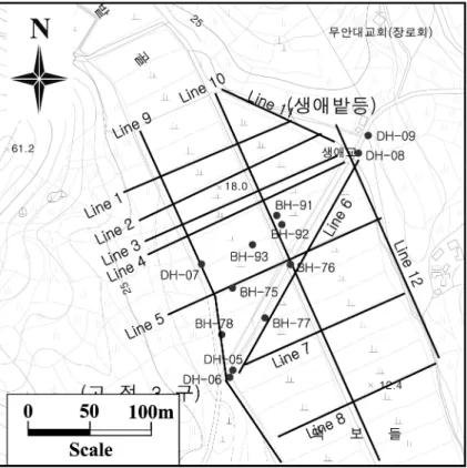 Fig. 4.  Positions of boreholes and survey lines at the field site.