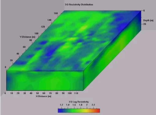 Fig. 11.  Underground cavities imaging from 3-D electrical resistivity survey.
