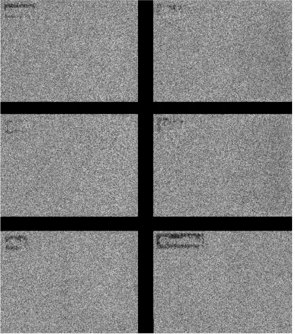 Fig 6.  Characteristic X-ray image mapped by EPMA of the specimen In-6
