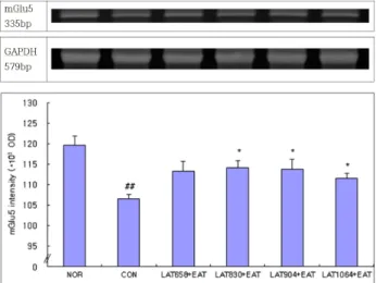 Fig. 8. Effects of laser for each wavelength and electroacupuncture  at  acupoint  GB34․GB39  on  the  intensity  of  mGlu5  in  the  central  gray  of  brain  of  neuropathic  pain  rats  induced  by  tibial  and  sural  nerve  transection.
