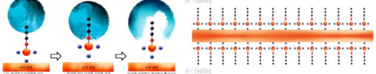 Fig. 9. Aegis 의 nano 항균제 작용과 coating 모식도 .
