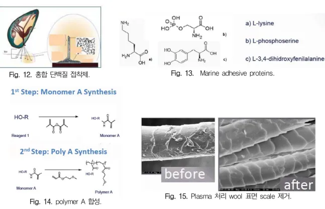 Fig. 12. 홍합 단백질 접착제. Fig. 13. Marine adhesive proteins.