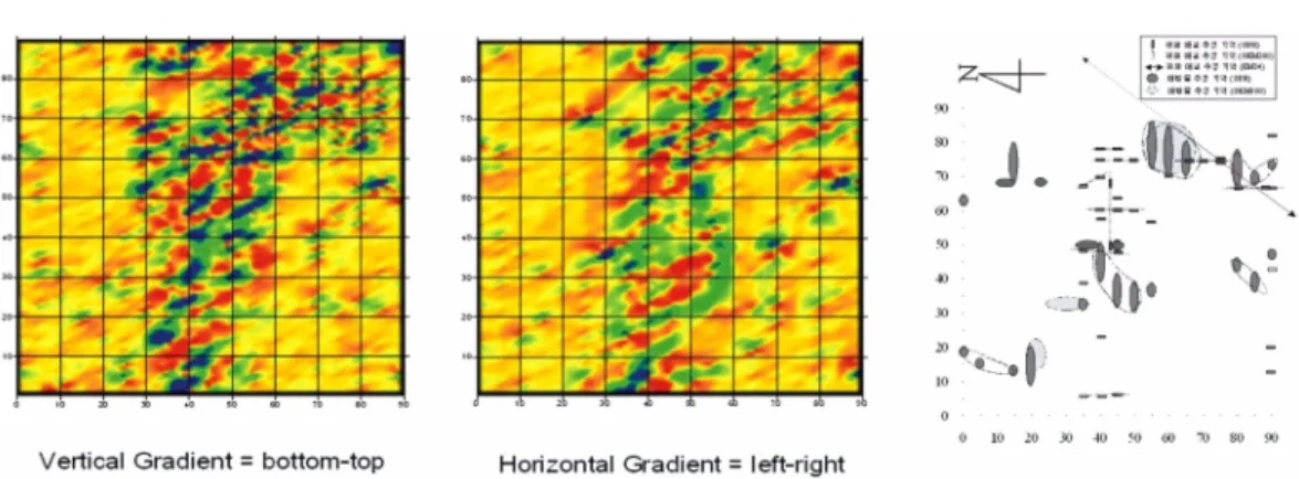 Fig. 9.  Horizontal and vertical magnetic gradient maps and synthetic interpretation of buried wastes (Park  et al ., 2002).