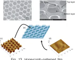Fig.  12.  REPELCVT M   (PLA-PEG).