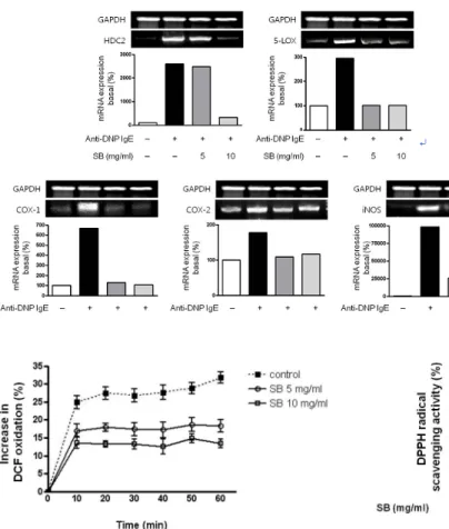 Fig. 8. DPPH radical scavenging activity of SB.