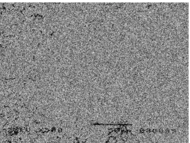 Fig 6.  The SEM picture of the specimen D(1200℉→1600[hold 1min]→1800[hold 3min] in air, ×500)