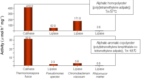 Fig.  11.  가수분해  효소  종류별  polyester  내  에스테르기  가수분해에  대한  특이  활성(pH7,  37℃).