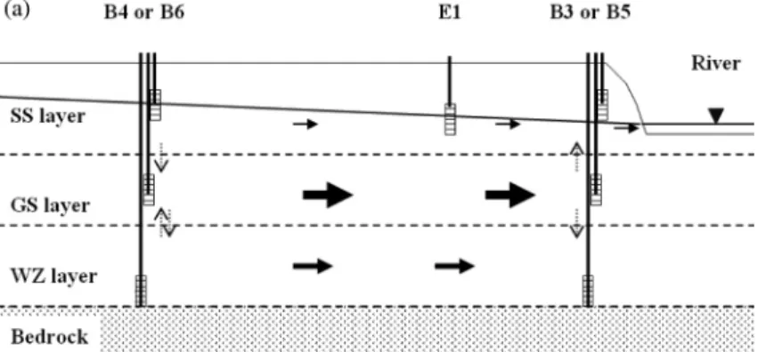 Fig. 10.  Schematic diagram of interactions between groundwater and river in study site, (a) during normal times, (b) during flood times