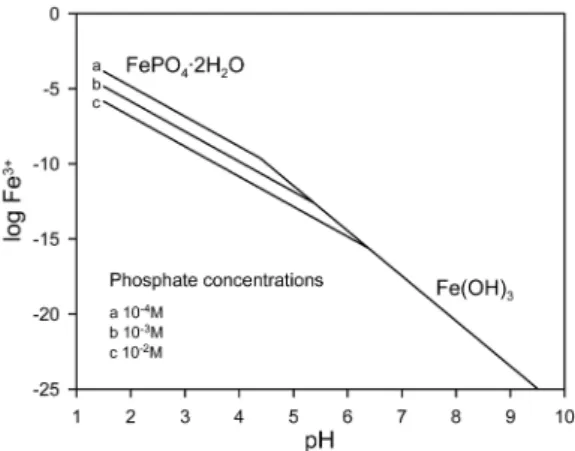 Fig. 2.  Stability diagram of iron phosphate and iron hydroxide (after Evangelou, 1995)