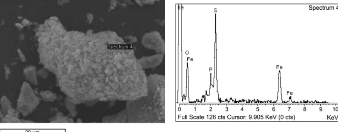 Fig. 4.  SEM microphotograph and EDS spectrum of iron phosphate-coated pyrite.
