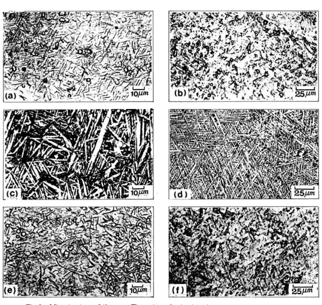 Fig 9.  Microstructure of the pure Ti specimen by treatment.