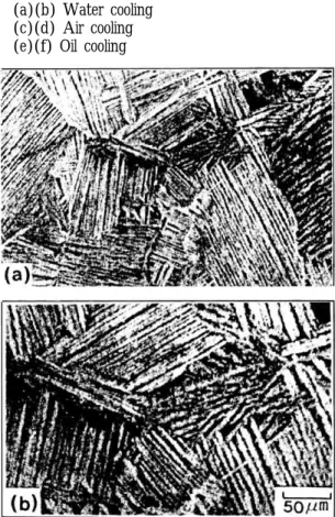 Fig 7.  Microstructure after solution treatment (1040℃X 30min)