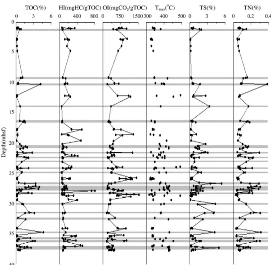 Fig. 3.  Results of Rock-Eval and Elemental analysis showing the vertical variations of organic geochemical properties with depth