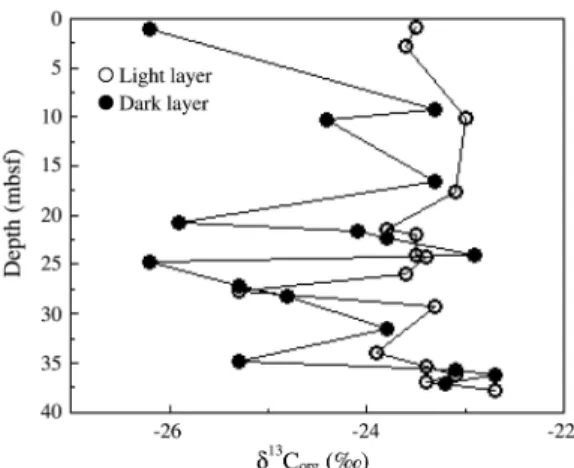 Fig. 4.  Result of Carbon Isotope analysis. Open circles indicate light layers. Filled circles indicate dark layers.