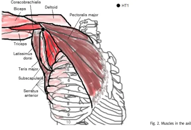 Fig.  2.  Muscles  in  the  axillary  region.