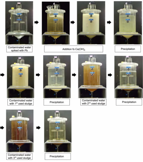 Fig. 2. Photograph of column experiment with Ca(OH) 2  for As, Cd, Mn, Pb and Zn spiked water.