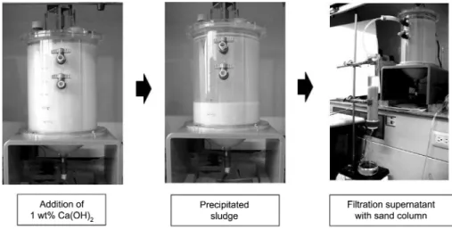 Fig. 3. Photograph of column experiment with Ca(OH) 2  for real contaminated groundwater