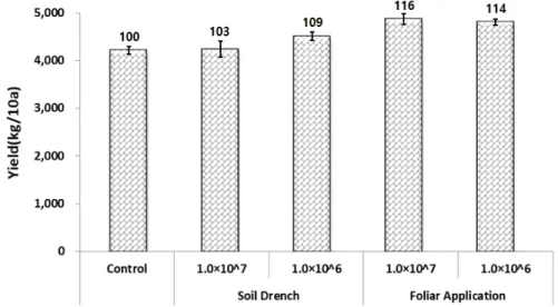 Fig.  2.  Yield  characteristics  of  tomato  by  Bacillus  subtilis  S37-2  treatment  methods .