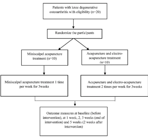 Fig.  1.  Flow  chart  of  the  pilot  rando- rando-mized  controlled  trial.