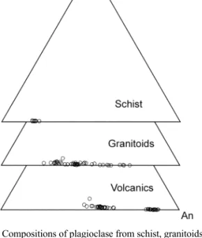 Fig. 2. Compositions of amphibole, following the discrimination scheme of Leake (1978).