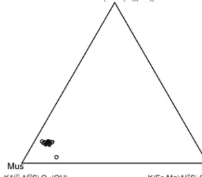 Fig. 3. Compositions of biotite from schist and granitoids (Phl: phlogopite, Ann: annite, Sid: siderite).