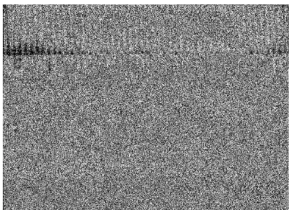 Fig 3.  The specimen is in the Spring test machine