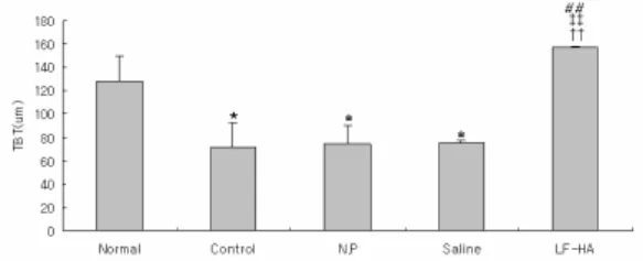 Fig.  20.  Effect  of  LF-HA  on  growth  plate  length  of  tibia  in  ovariectomized  mice.