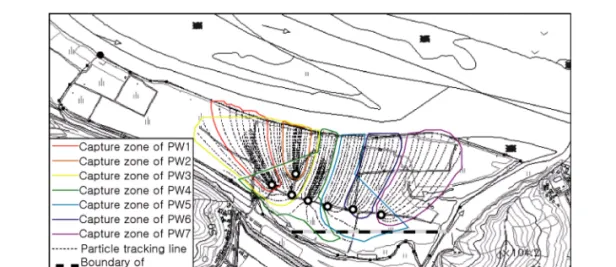 Fig. 9. Capture zone after 1 year.