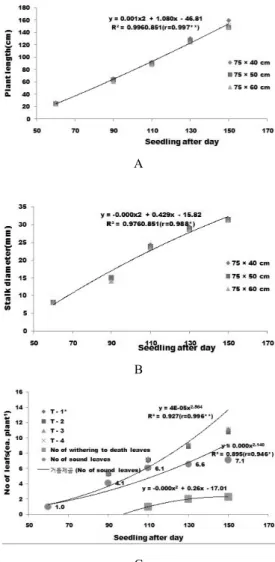 Fig. 1. Changes of plant length (A), stalk diameter  (B) and number of leafs (C) after planting  of turmeric on additional fertilizer application  levels in paddy soil.