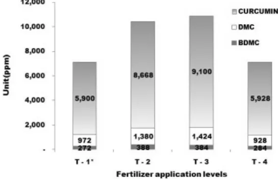 Fig. 2. content of curcumin on fertilizer application  levels in paddy soil.