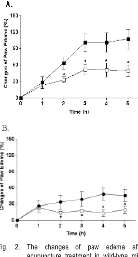 Fig. 1. The changes of paw edema after  carrageenan injection in wild type and  Stat 6 knockout mice