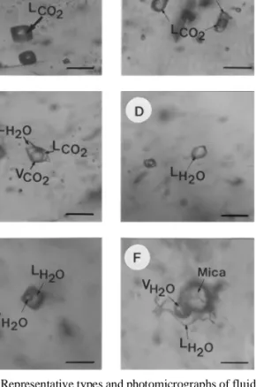 Fig. 4. Representative types and photomicrographs of fluid inclusions in stage I, II vein quartz and calcite from the Daebong mine